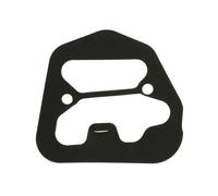 Blic Guarnizione fanale posteriore Sx 5402-19-1396500SP per Toyota Avensis 2 2003-2008