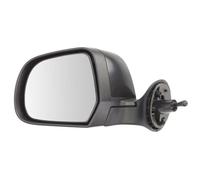BLIC 5402-67-003361P Specchio retrovisore esterno per DACIA,RENAULT