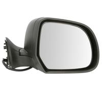 BLIC 5402-67-003364P Specchio retrovisore esterno per DACIA,RENAULT