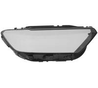 BLIC 5410-01-2555106P Lente diffusore, Faro principale per VW