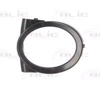 Cornice Fendinebbia Destra Nera Per Bmw 3 Series - E46 M-tech 2001-2005 Destro