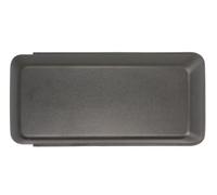 BLIC 5513-00-2593991P Griglia di ventilazione, Paraurti per FORD USA