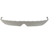 BLIC 5703-05-0554921P Modanatura decorativa / protettiva, Griglia radiatore