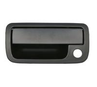 BLIC 6010-01-056417PP Maniglia porta