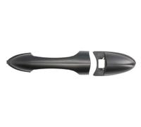 BLIC 6010-03-028406P Maniglia esterna sportello per FORD
