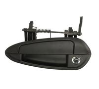 BLIC 6010-07-036401PP Maniglia esterna sportello per ABARTH,FIAT