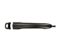 Maniglia anteriore Sx 6010-07-040401P BLIC per FIAT STILO STILO Multi Wagon