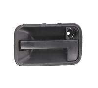 Maniglia della portiera BLIC 6010-08-002410P