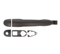 BLIC 6010-09-049405P Maniglia esterna sportello per RENAULT