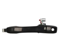 BLIC 6010-12-046401P Maniglia esterna sportello per HONDA