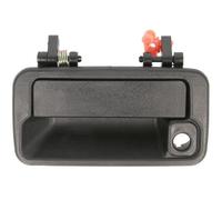 BLIC 6010-18-004401P Maniglia esterna sportello per SUZUKI