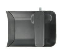 BLIC 6010-21-015410P Maniglia esterna sportello per CITROËN,PEUGEOT