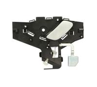 Maniglia della portiera BLIC 6010-21-020409P