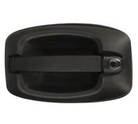 BLIC 6010-30-003401P Maniglia esterna sportello per IVECO