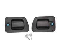BLIC 6010-30-004407P Maniglia esterna sportello per IVECO
