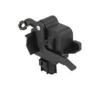 BLIC 6010-55-005449P Serratura Del Portellone Per JEEP