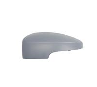 Specchio esterno - fascia BLIC 6103-01-0304691P
