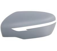 BLIC 6103-01-1300000P Supporto, Specchio Esterno Per NISSAN