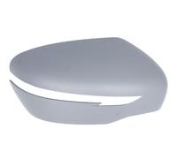 Specchio esterno - fascia BLIC 6103-01-1300001P