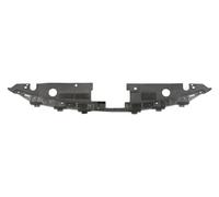 BLIC 6502-03-3479209P Supporto, Paraurti
