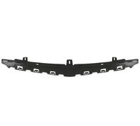 BLIC 6502-03-3521201P Supporto, Paraurti