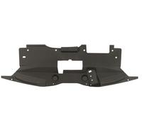 BLIC 6502-03-6066209P Supporto, Griglia radiatore