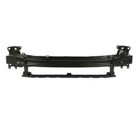 BLIC 6502-03-7521231P Supporto, Parafango Per SKODA