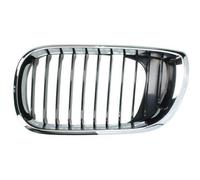 BLIC 6502-07-0061991AP Griglia radiatore per BMW 3 Sedan (E46) 3 Coupe (E46)