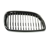 BLIC 6502-07-00629916P Griglia radiatore per BMW