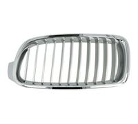 BLIC 6502-07-0063993P Griglia radiatore per BMW