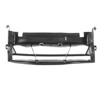 BLIC 6502-07-0063999P Supporto, Paraurti