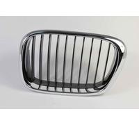 BLIC 6502-07-00659911P Griglia radiatore per BMW