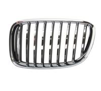 BLIC 6502-07-00679911P Griglia radiatore per BMW