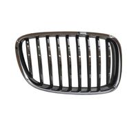 Griglia radiatore anteriore Dx cromo 6502-07-00679922P BLIC per BMW