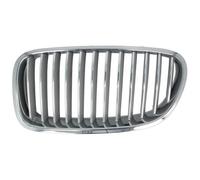 BLIC 6502-07-0067996P Griglia radiatore per BMW