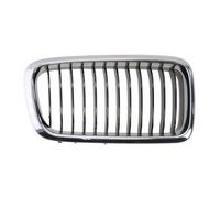 BLIC 6502-07-0075996P Griglia radiatore per BMW