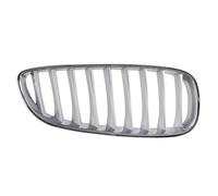BLIC 6502-07-0089998P Griglia radiatore per BMW