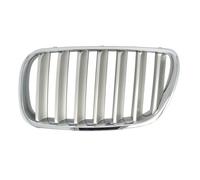 BLIC 6502-07-00939930P Griglia radiatore per BMW