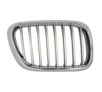 BLIC 6502-07-0095992P Griglia radiatore per BMW