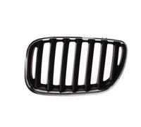 BLIC 6502-07-0095995P Griglia radiatore per BMW
