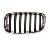 BLIC 6502-07-0096991P Griglia radiatore per BMW