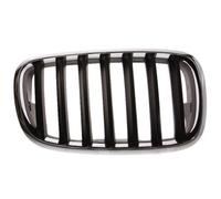 BLIC 6502-07-0096992P Griglia radiatore per BMW