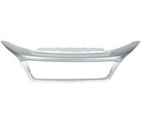 BLIC 6502-07-2098994P Orlo / Protezione Striscia, Radiatore Griglia per Fiat