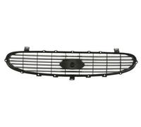 Griglia del radiatore BLIC 6502-07-2515993P