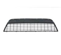 BLIC 6502-07-2556995P Griglia Di Ventilazione, Parafango Per FORD