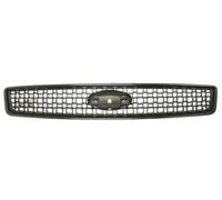 BLIC 6502-07-2576991P Griglia Radiatore Grigia Scura Per FORD
