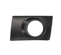 BLIC 6502-07-3175911P Cornice, Fendinebbia