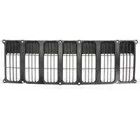 Griglia del radiatore BLIC 6502-07-3213990P