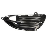BLIC 6502-07-3529912PP Cornice, Fendinebbia
