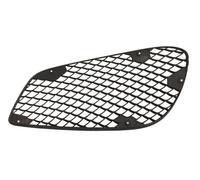 BLIC 6502-07-3529913PP Modanatura decorativa / protettiva, Griglia radiatore